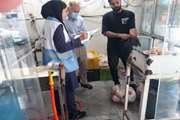 گشت مشترک کارشناسان بهداشت محیط مرکز بهداشت جنوب تهران با همکاری سازمان دامپزشکی